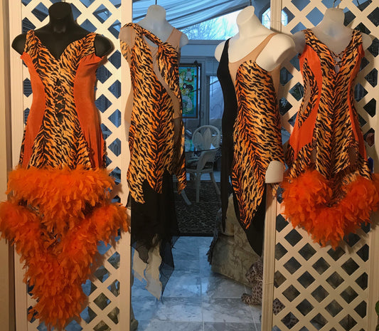 Tigress Latin Dress Collection In Progress
