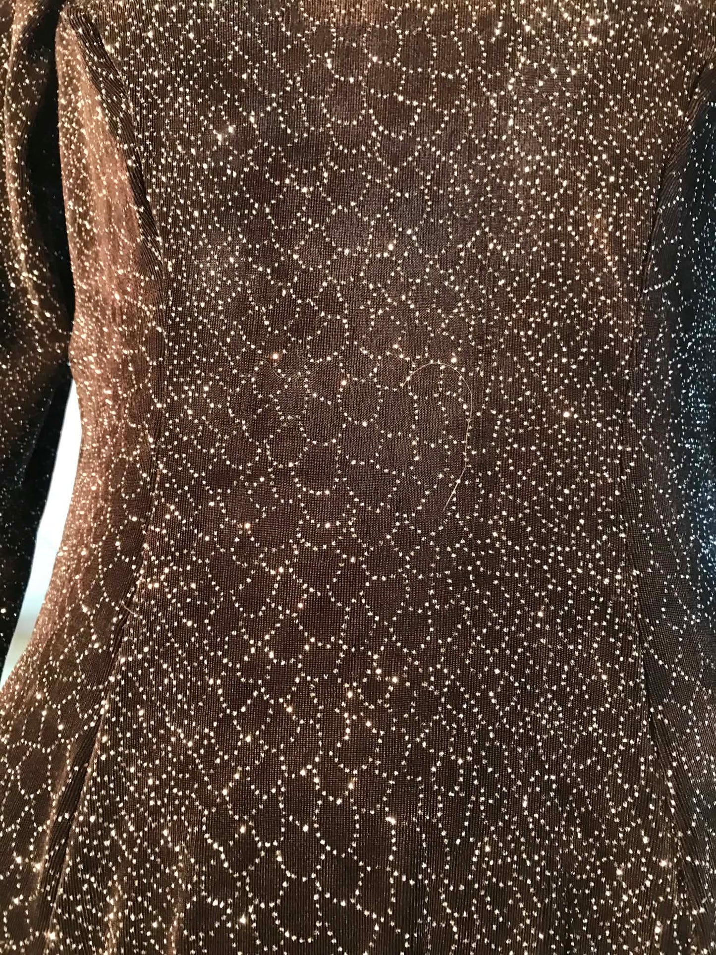 Bodysuit-Midnight Serpent