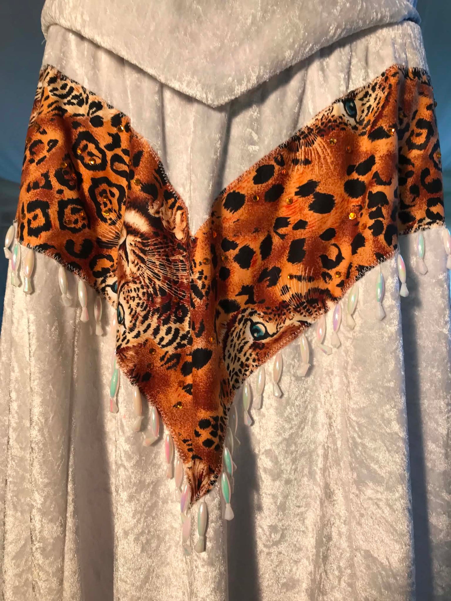 Dance Skirt & Top-Prairie Wildcat