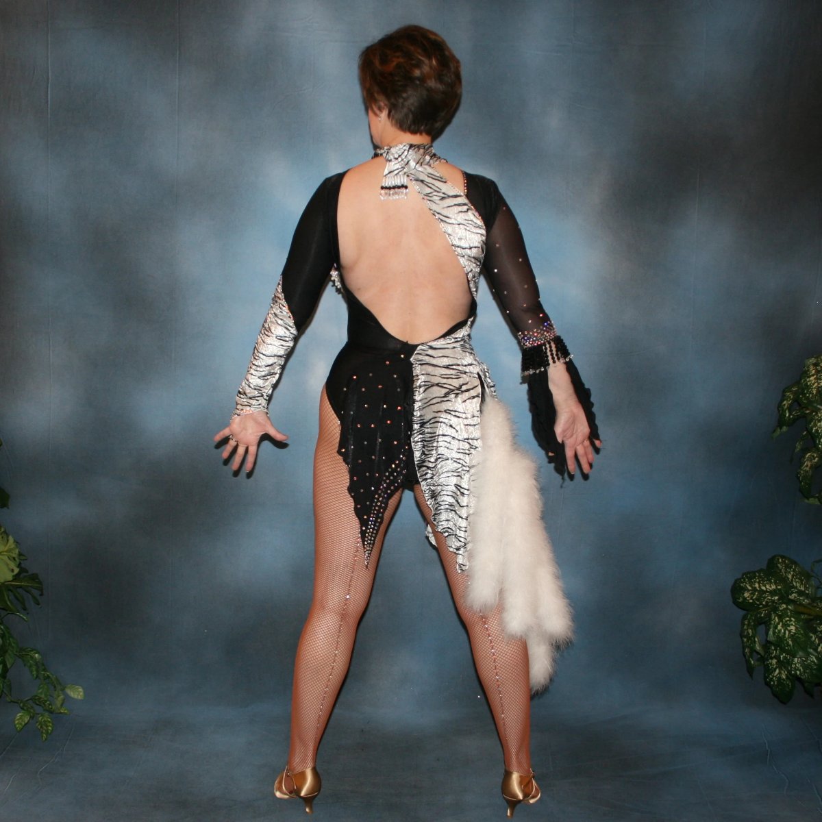 Crystal's Creations back view of Latin/rhythm dance dress created of black and white tiger print panne velvet on black sheer glissenette base, embellished with Aurora Swarovski rhinestones, hand beading, & a fluff of white marabou feathers.