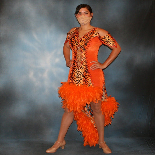 Crystal's Creations Tiger print & orange Latin/rhythm dress created of tiger print lycra & luxurious orange solid slinky has color blocking, lattice work detailing in front bodice, split sides & low back, as well as intriguing longer back skirting, adorned with orange chandelle feathers,  also features detailed Swarovski rhinestone work! 