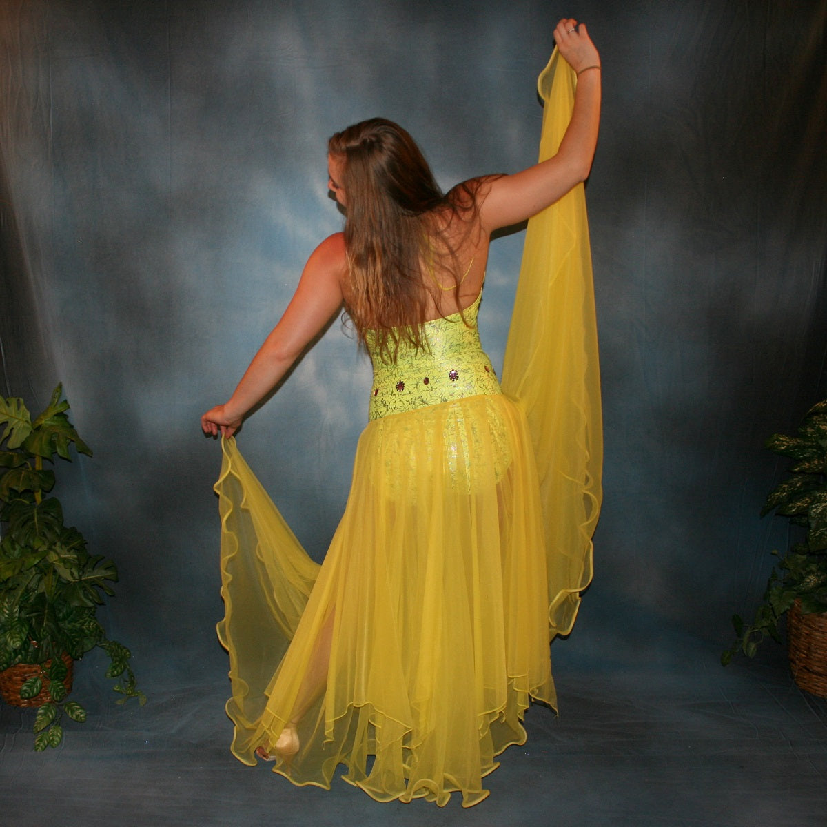 Ballroom Dress | Yellow Ballroom Dress | Yellow